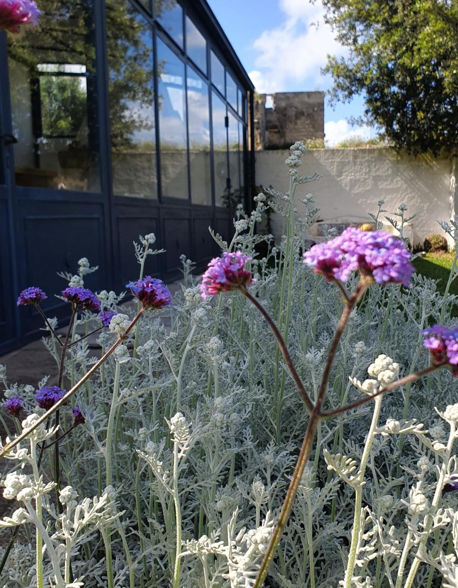 Masseria Spartivento Conca Specchiulla Exterior foto